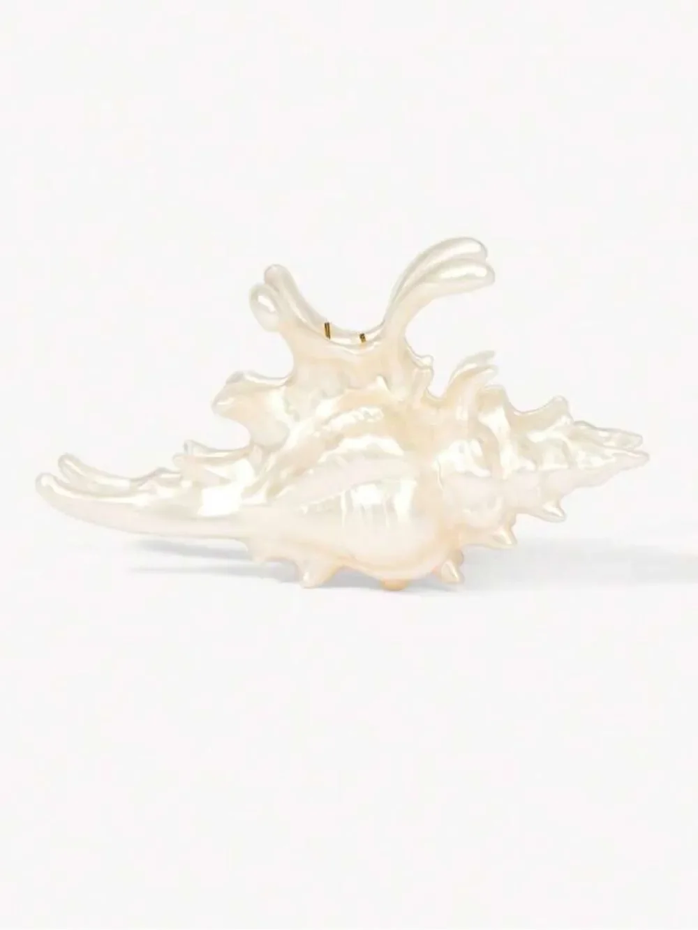 Shell Hair Claw Clip S1410